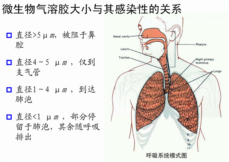 微生物气溶胶